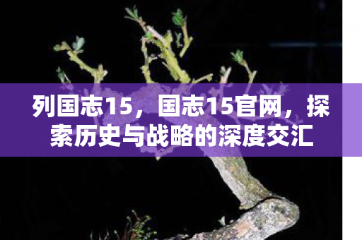 列国志15，国志15官网，探索历史与战略的深度交汇