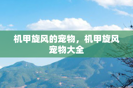 机甲旋风的宠物，机甲旋风宠物大全