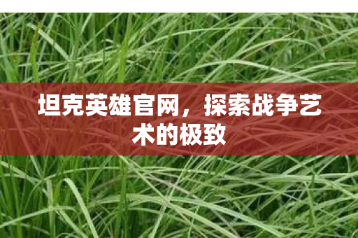 坦克英雄官网，探索战争艺术的极致