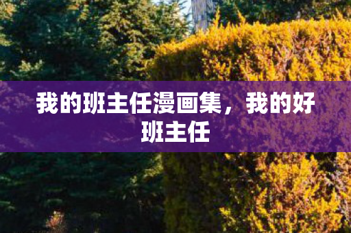 我的班主任漫画集，我的好班主任