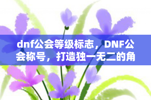 dnf公会等级标志，DNF公会称号，打造独一无二的角色身份