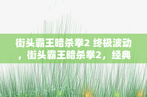 街头霸王暗杀拳2 终极波动，街头霸王暗杀拳2，经典续作的战斗艺术