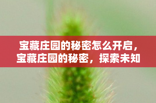 宝藏庄园的秘密怎么开启，宝藏庄园的秘密，探索未知，发现奇迹