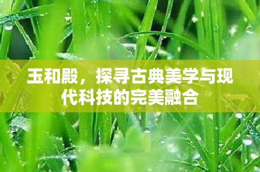 玉和殿，探寻古典美学与现代科技的完美融合