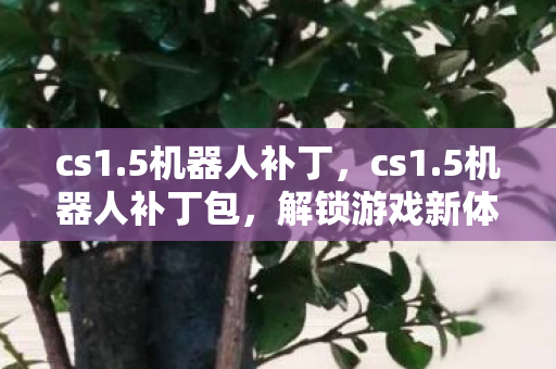 cs1.5机器人补丁，cs1.5机器人补丁包，解锁游戏新体验