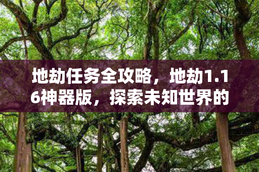 地劫任务全攻略，地劫1.16神器版，探索未知世界的奇幻之旅