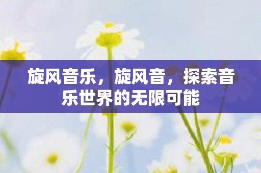 旋风音乐，旋风音，探索音乐世界的无限可能