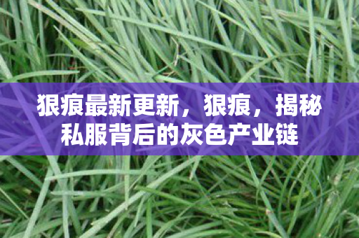 狠痕最新更新，狠痕，揭秘私服背后的灰色产业链