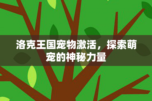 洛克王国宠物激活，探索萌宠的神秘力量