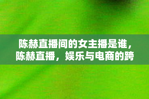 陈赫直播间的女主播是谁，陈赫直播，娱乐与电商的跨界融合