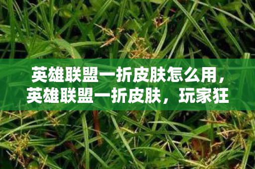 英雄联盟一折皮肤怎么用，英雄联盟一折皮肤，玩家狂欢与策略分析