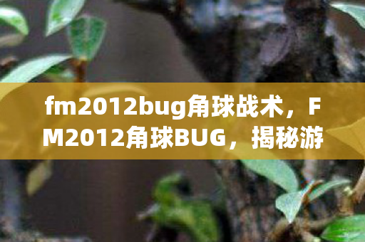 fm2012bug角球战术，FM2012角球BUG，揭秘游戏机制中的意外之喜