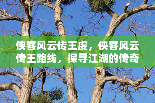 侠客风云传王虔，侠客风云传王路线，探寻江湖的传奇之路