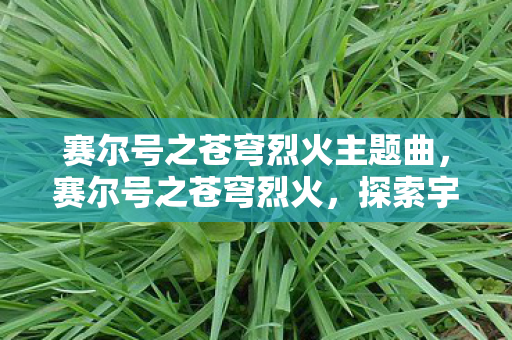 赛尔号之苍穹烈火主题曲，赛尔号之苍穹烈火，探索宇宙的神秘之旅