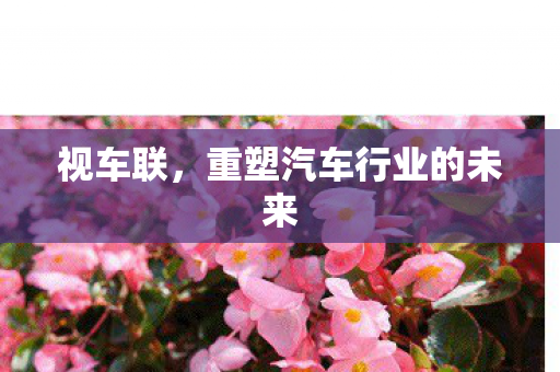 视车联，重塑汽车行业的未来