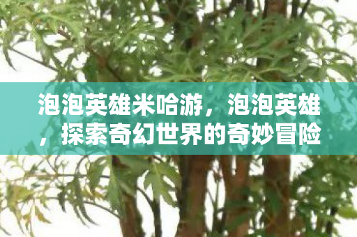 泡泡英雄米哈游，泡泡英雄，探索奇幻世界的奇妙冒险