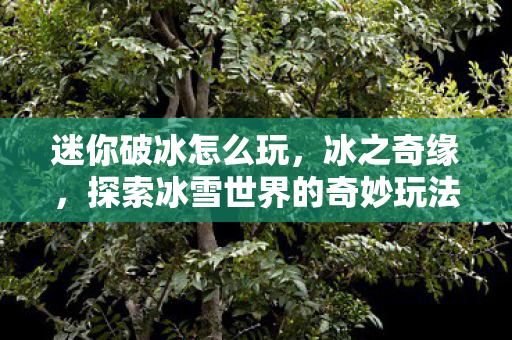 迷你破冰怎么玩，冰之奇缘，探索冰雪世界的奇妙玩法