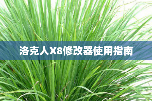 洛克人X8修改器使用指南
