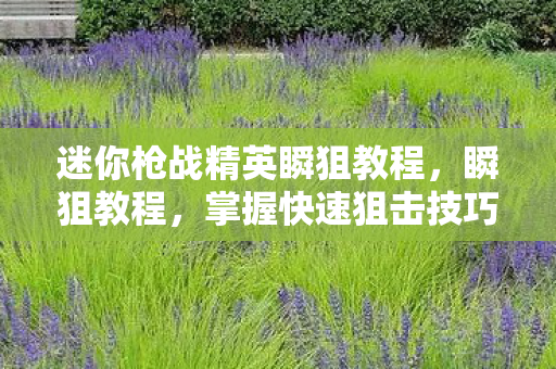 迷你枪战精英瞬狙教程，瞬狙教程，掌握快速狙击技巧，提升游戏胜率的秘诀