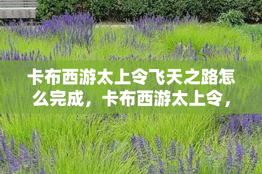 卡布西游太上令飞天之路怎么完成，卡布西游太上令，探索未知世界的奇妙之旅