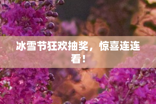 冰雪节狂欢抽奖，惊喜连连看！