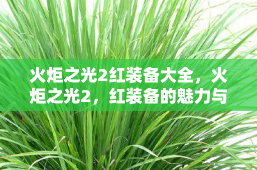 火炬之光2红装备大全，火炬之光2，红装备的魅力与获取攻略