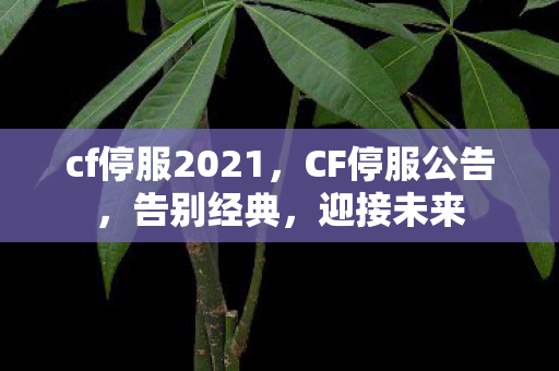 cf停服2021，CF停服公告，告别经典，迎接未来