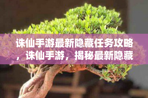 诛仙手游最新隐藏任务攻略，诛仙手游，揭秘最新隐藏任务，探索未知冒险