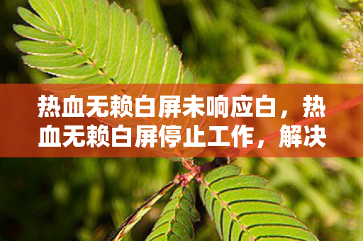 热血无赖白屏未响应白，热血无赖白屏停止工作，解决方案与游戏优化指南