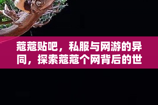 蔻蔻贴吧，私服与网游的异同，探索蔻蔻个网背后的世界