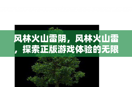 风林火山雷阴，风林火山雷，探索正版游戏体验的无限可能