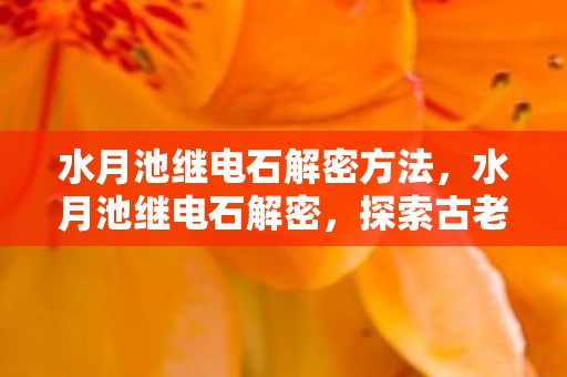 水月池继电石解密方法，水月池继电石解密，探索古老遗迹的电力奥秘