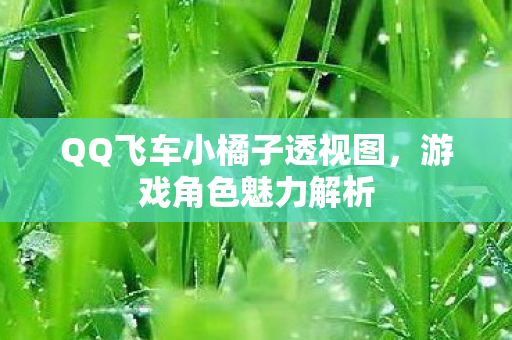 QQ飞车小橘子透视图，游戏角色魅力解析