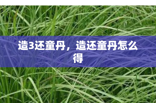 造3还童丹，造还童丹怎么得