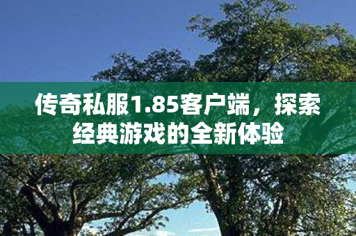 传奇私服1.85客户端，探索经典游戏的全新体验