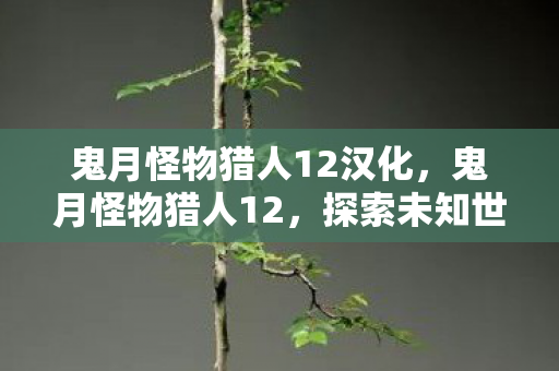 鬼月怪物猎人12汉化，鬼月怪物猎人12，探索未知世界的冒险之旅