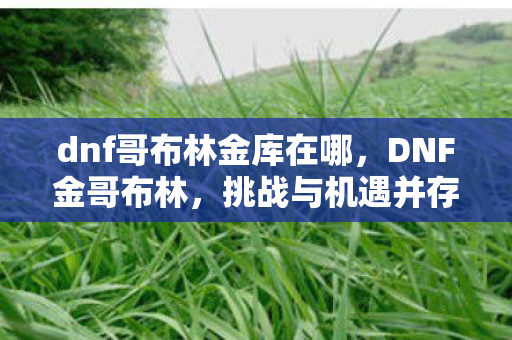 dnf哥布林金库在哪，DNF金哥布林，挑战与机遇并存的神秘种族