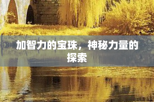 加智力的宝珠，神秘力量的探索