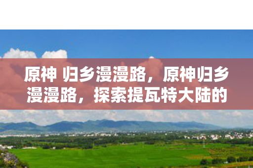 原神 归乡漫漫路，原神归乡漫漫路，探索提瓦特大陆的无尽旅程