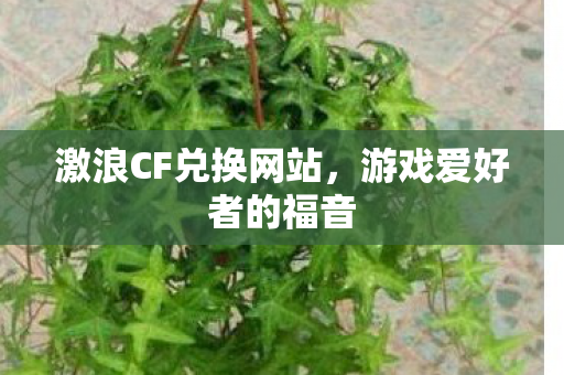 激浪CF兑换网站，游戏爱好者的福音