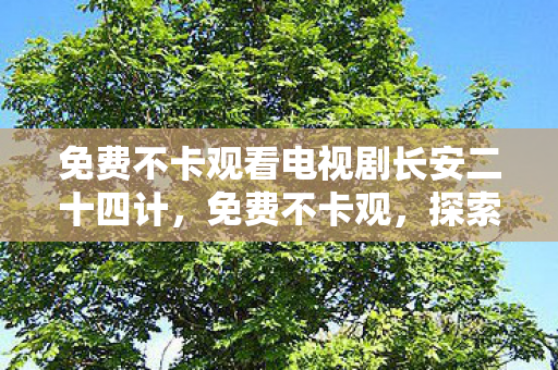 免费不卡观看电视剧长安二十四计，免费不卡观，探索游戏世界的无限可能