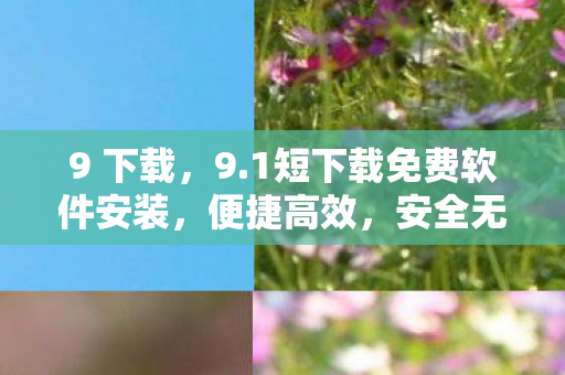 9 下载，9.1短下载免费软件安装，便捷高效，安全无忧