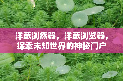 洋葱浏然器，洋葱浏览器，探索未知世界的神秘门户