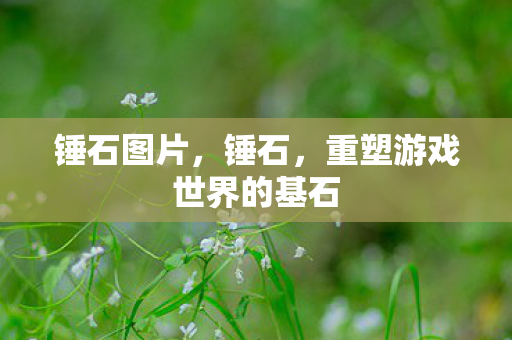 锤石图片，锤石，重塑游戏世界的基石