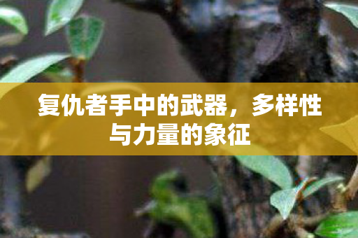 复仇者手中的武器，多样性与力量的象征