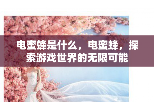 电蜜蜂是什么，电蜜蜂，探索游戏世界的无限可能