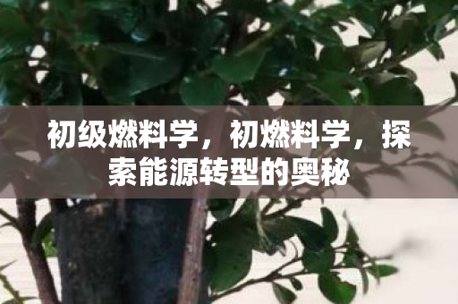 初级燃料学，初燃料学，探索能源转型的奥秘