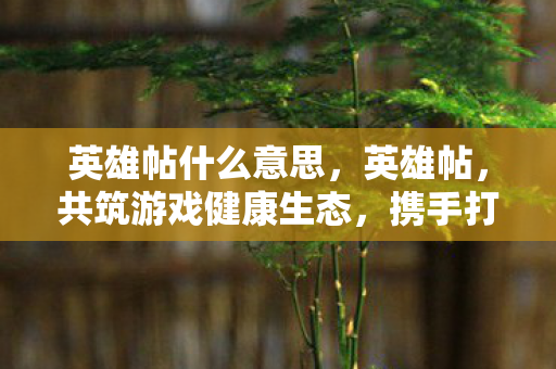 英雄帖什么意思，英雄帖，共筑游戏健康生态，携手打击非法游戏行为