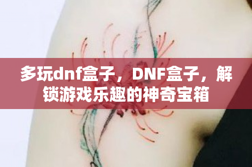多玩dnf盒子，DNF盒子，解锁游戏乐趣的神奇宝箱