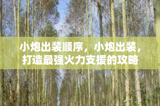 小炮出装顺序，小炮出装，打造最强火力支援的攻略